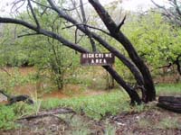 pic15
